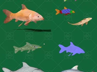 Common Barbel Fish Low-poly 3D model