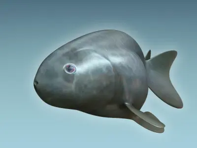 Rancu Fish 3D model