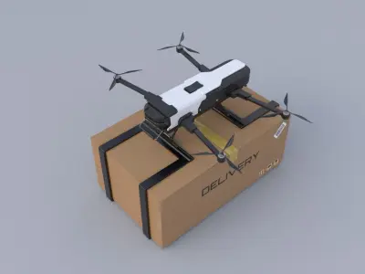 Delivery Drone 3D model