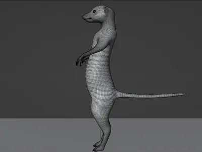 Suricata meerkat 3D model