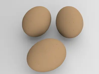 Chicken Eggs 3D model