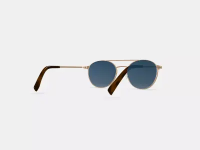 Fisher Sunglasses in Polished Gold 3D model