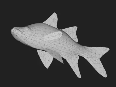 Snook Low-poly 3D model