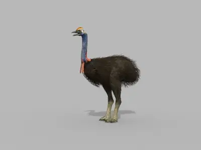 Elephant Bird 8K - 3d animated model 3D model