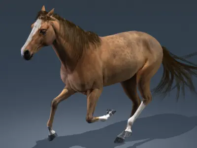 Horse Animated 3D model order