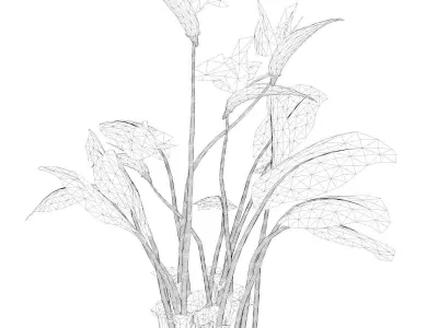 Bird of Paradise Flower - 08 - 3D model