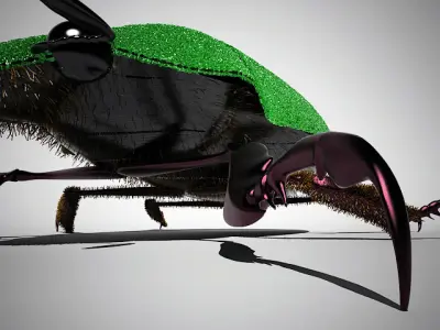 Scarab beetle 3D model