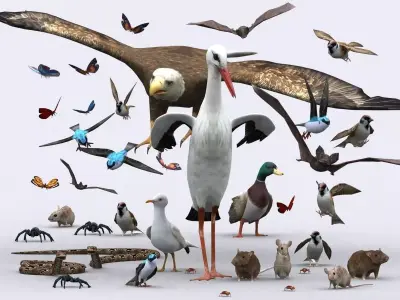 3DRT - Birds and Critters Low-poly 3D model