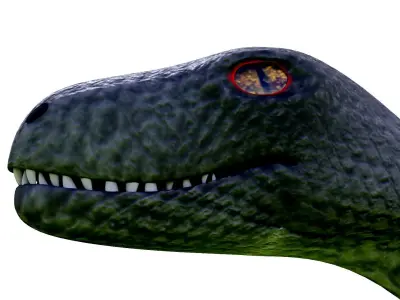 Raptor dinosaur Low-poly 3D model