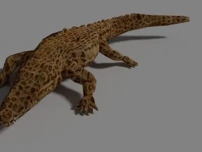 Rigged Crocodile with a simple texture 3D model