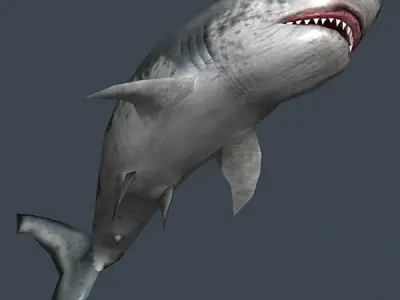 3DRT - Shark Jaws Pack Low-poly 3D model
