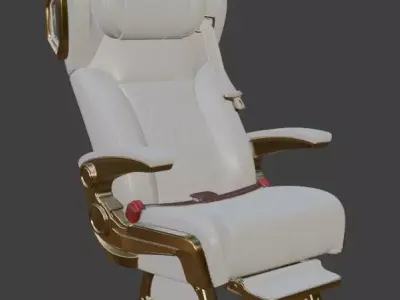 Luxury VIP Aircraft Seat White Leather Gold 3D Model 3D model