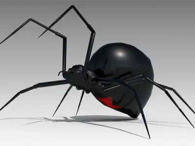 Black widow Low-poly 3D model