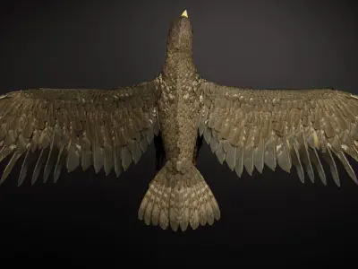 Golden Eagle 3D Model I Game Ready Blender Low-poly 3D model