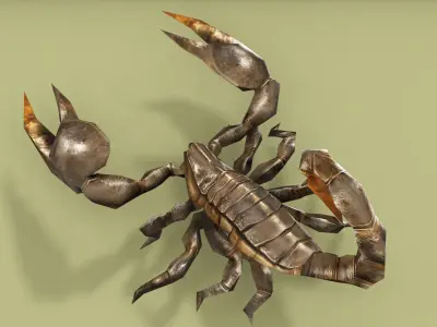 SCORPION RIGGED ANIMATED 4 Low-poly 3D model