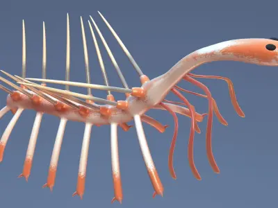 hallucigenia 3D model