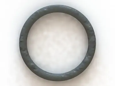 O Ring Vedabras 12248 3D model