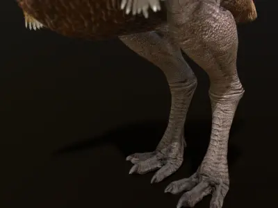 Kelenken Low-poly 3D model