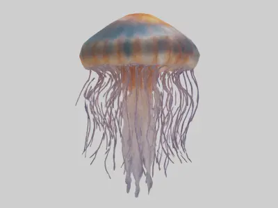 Lions Mane Jellyfish drifting model Low-poly 3D model
