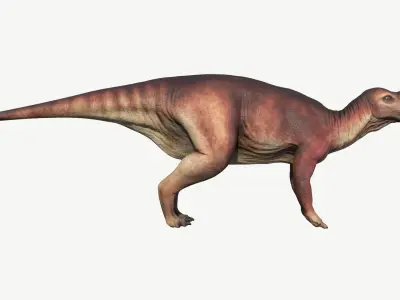 Muttaburrasaurus dinosaur Low-poly 3D model