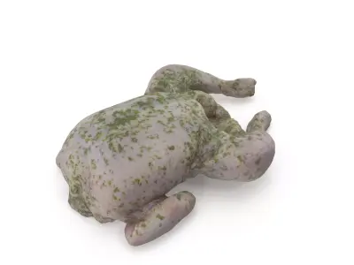 Raw Chicken seasoned with sage - 4K textures 3D model