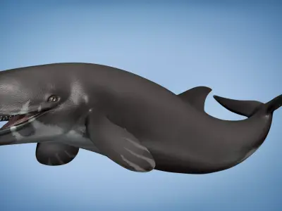 Livyatan Asset Pack Low-poly 3D model