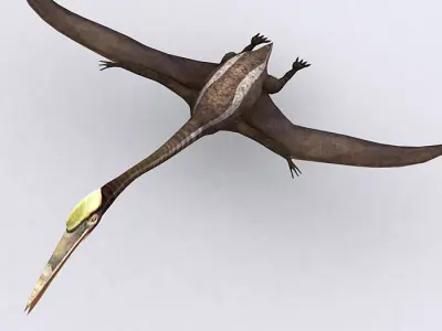 3DRT - Dinosaurs - Quetzalcoatlus Low-poly 3D model