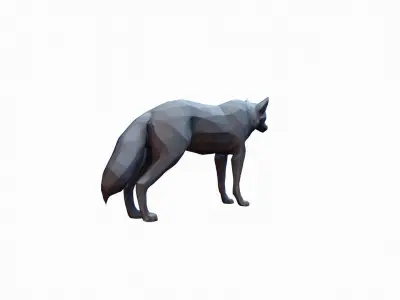 The Wolf Is A Powerful Intelligent Predator 3D model