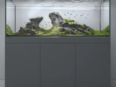 Aquascape aquarium 3D model