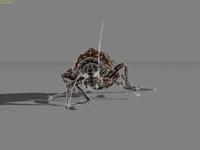 Roach Animal Low-poly 3D model