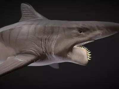 Helicorpion Low-poly 3D model