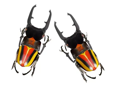 Grasshopper 3D model