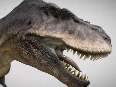 The Ultimate Tarbosaurus bataar Low-poly 3D model