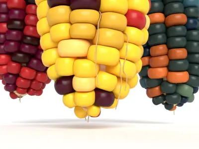 Flint Corn 3D model