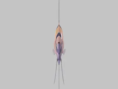 Scalar fish Low-poly 3D model