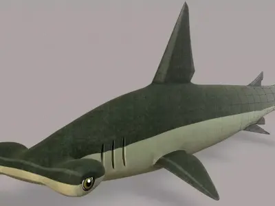 Shark V02 Low-poly 3D model