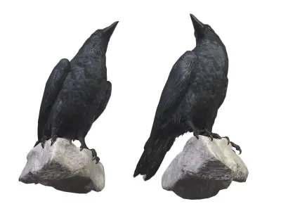 Raven pair of crow statues 3D model
