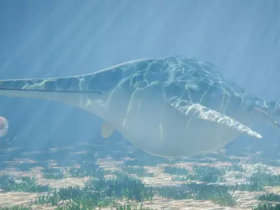 Shonisaurus Low-poly 3D model