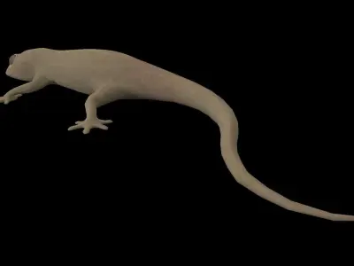 Lizard Gecko Animal 3D model Low-poly 3D model