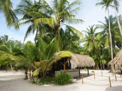 Photo Reference Pack Island Palm Ocean Tent Sea Tropical Part 2 Texture