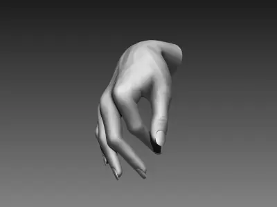 12 Female Hands 3D model