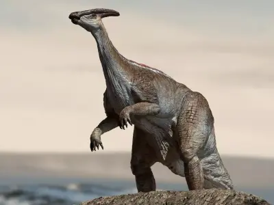 Parasaurolophus 3D Rigged model Low-poly 3D model