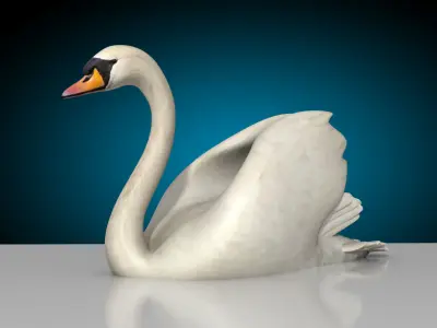 Swan - Swim and Walk 3D model