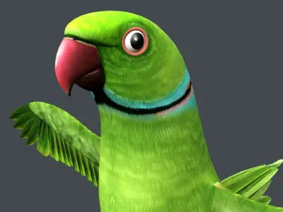 Parrot  bird Low-poly 3D model