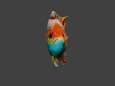 Fish Animal Low-poly 3D model