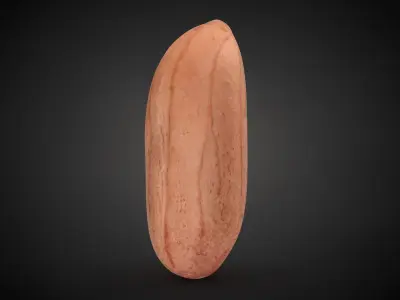 Peanut Kernel Collection 3D model