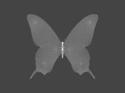 BFLY-007 Butterfly 3D model