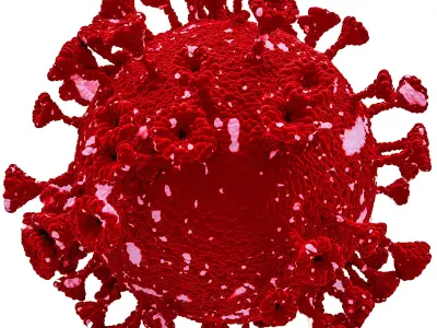 coronavirus corona virus 3D model