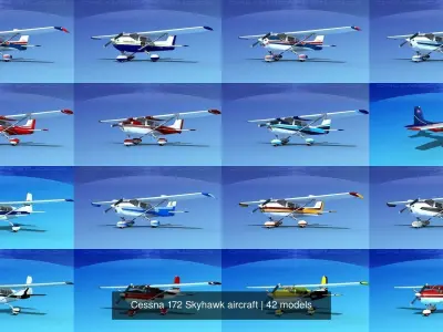 42 Cessna 172 Skyhawk aircraft 3D Model Collection