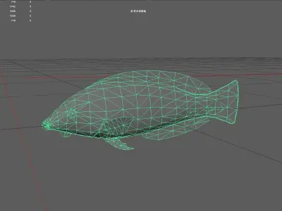 Wrasse Low-poly 3D model